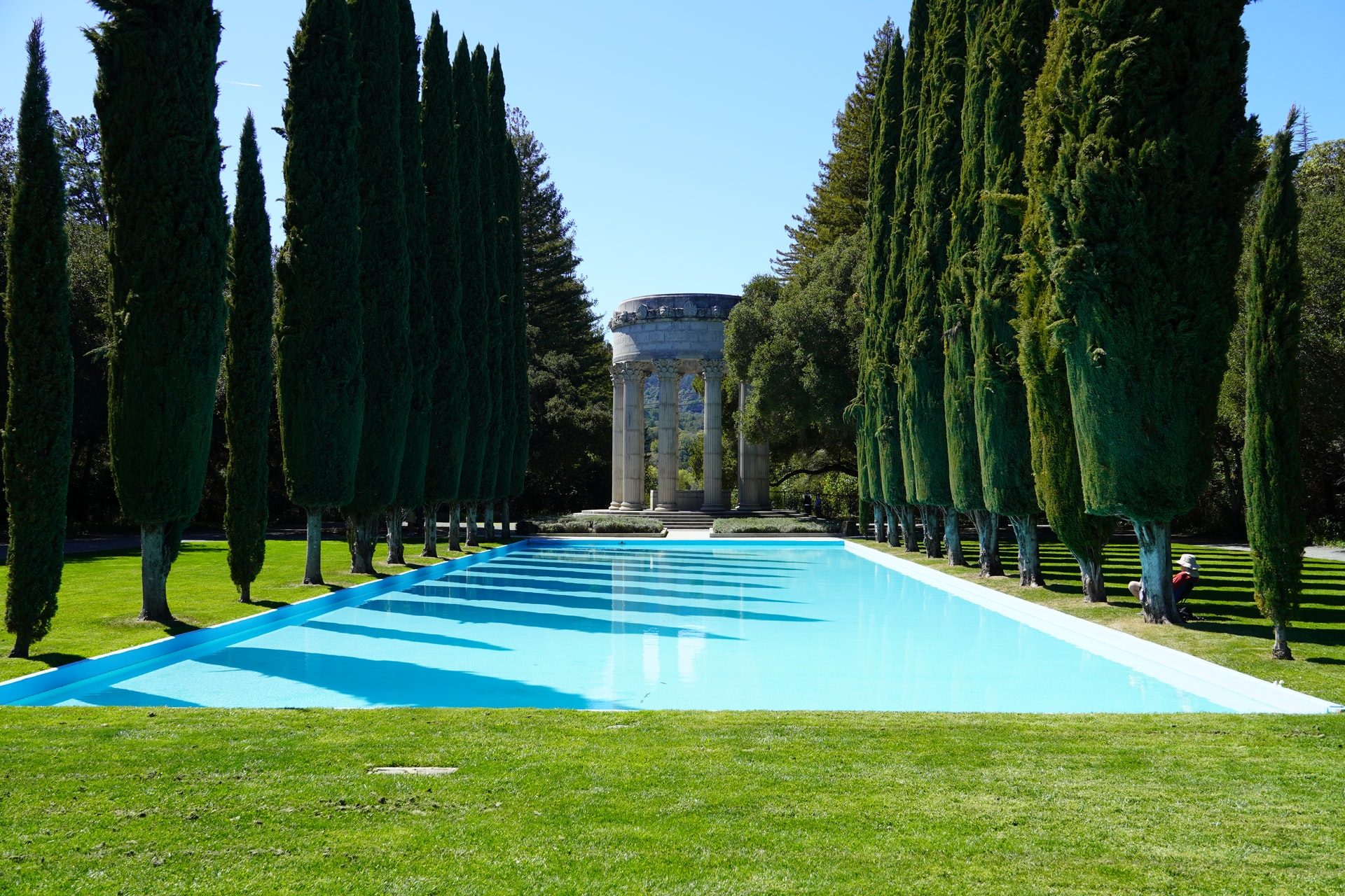 arbres et piscine